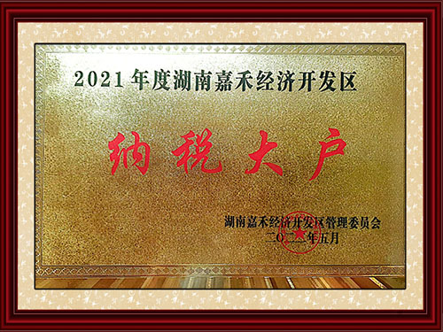 纳税大户