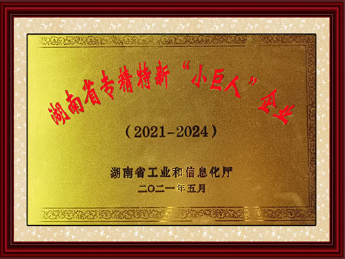 湖南省专精特新“小巨人”企业
