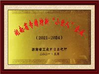 湖南省专精特新“小巨人”企业