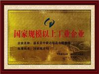 国家规模以上工业企业